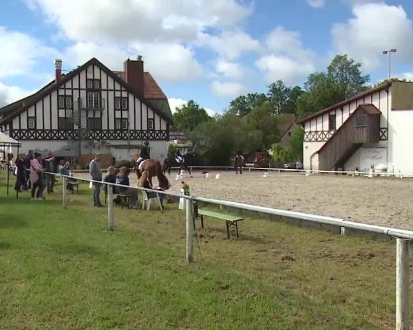 Reitturnier Hof-Haidt/Ofr. 2024