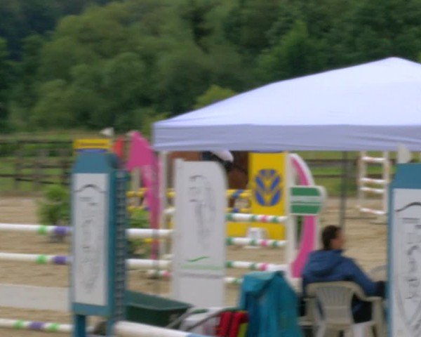 Reitturnier Hemer-Oese an der Edelburg 2024