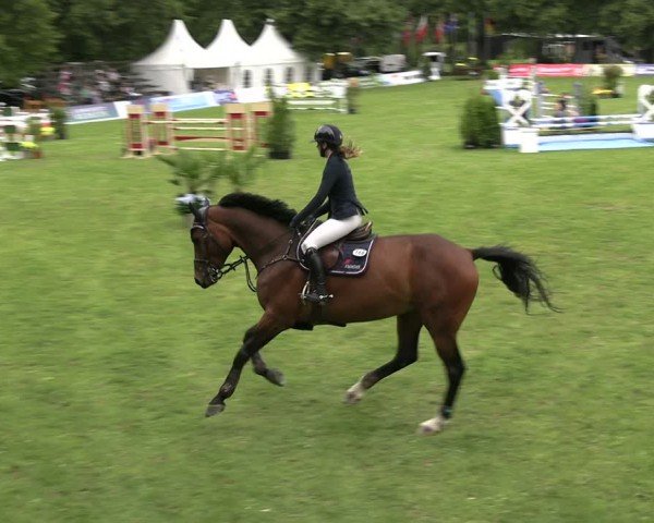 Reitturnier Neu Benthen 2024