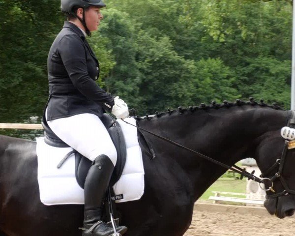 Reitturnier Nürtingen 2024