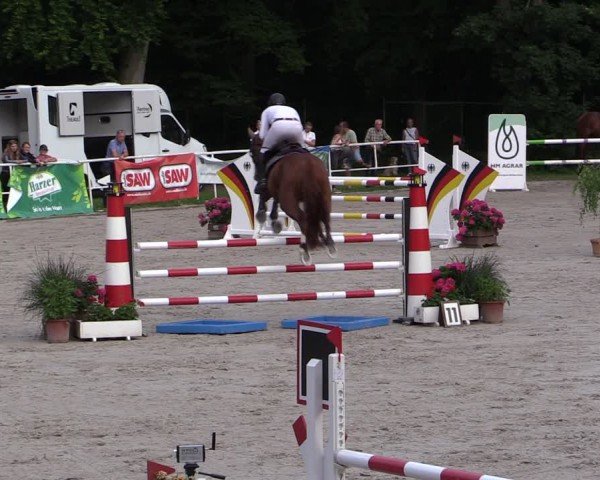 Reitturnier Prussendorf 2024