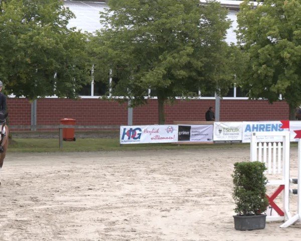 Reitturnier Münster-Roxel 2024