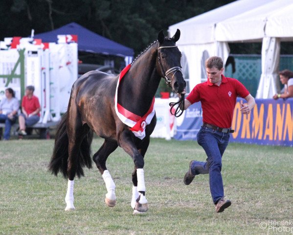 broodmare Fey (Westphalian, 2012, from Fürst Romancier)
