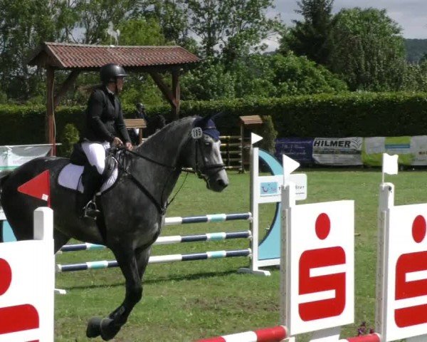 Reitturnier Moringen 2024