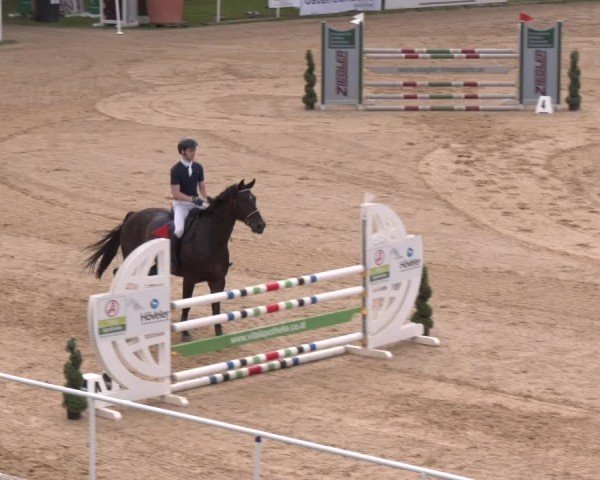 Reitturnier Stadl-Paura 2024