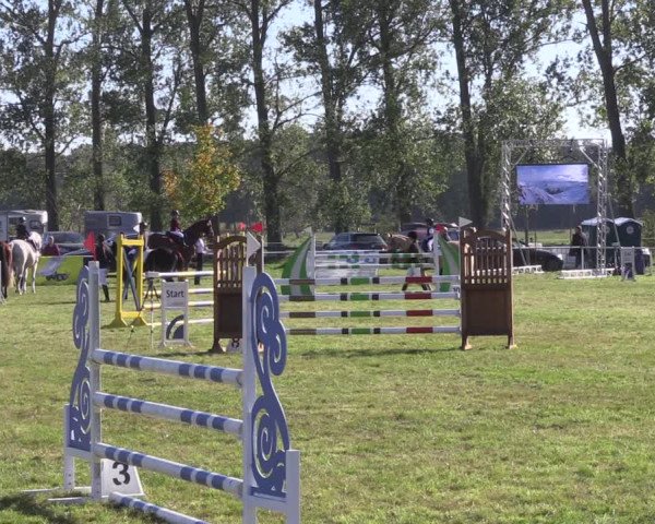 Reitturnier Großwoltersdorf 2021