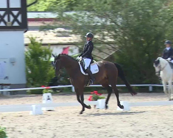 Reitturnier Hof-Haidt/Ofr. 2024