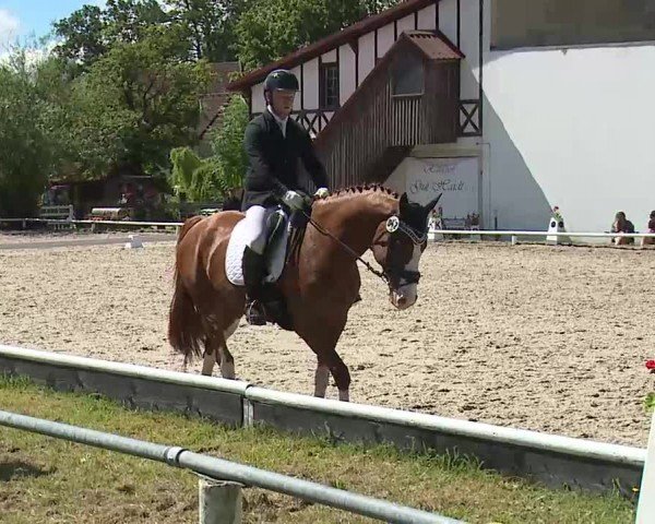 Reitturnier Hof-Haidt/Ofr. 2024