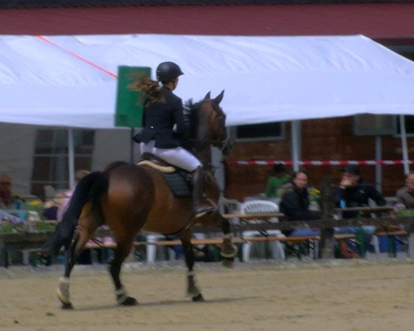 Reitturnier Hemer-Oese an der Edelburg 2024