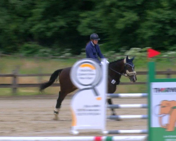 Reitturnier Hemer-Oese an der Edelburg 2024