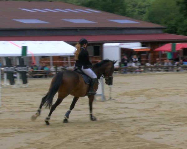 Reitturnier Hemer-Oese an der Edelburg 2024
