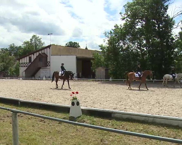 Reitturnier Hof-Haidt/Ofr. 2024
