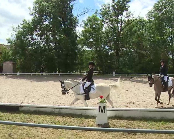 Reitturnier Hof-Haidt/Ofr. 2024