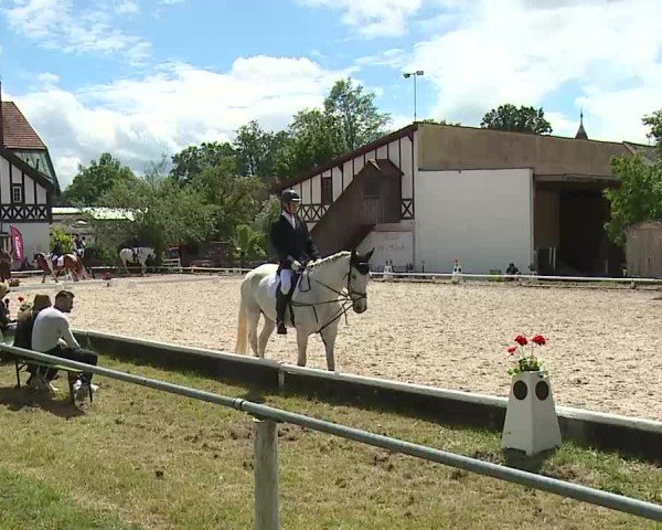 Reitturnier Hof-Haidt/Ofr. 2024