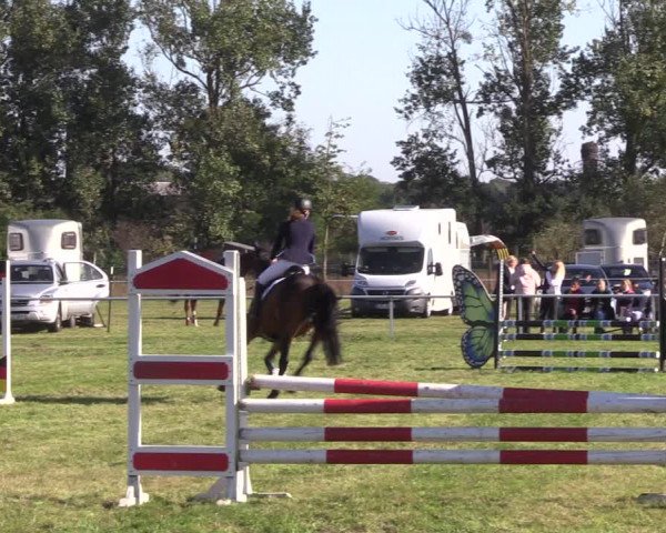 Reitturnier Großwoltersdorf 2021