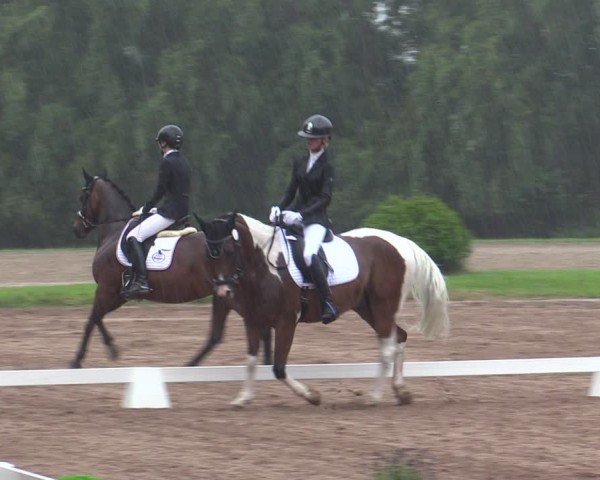 Reitturnier Prussendorf 2024