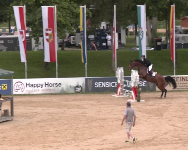 Reitturnier Stadl-Paura 2024