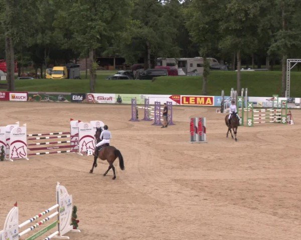 Reitturnier Stadl-Paura 2024
