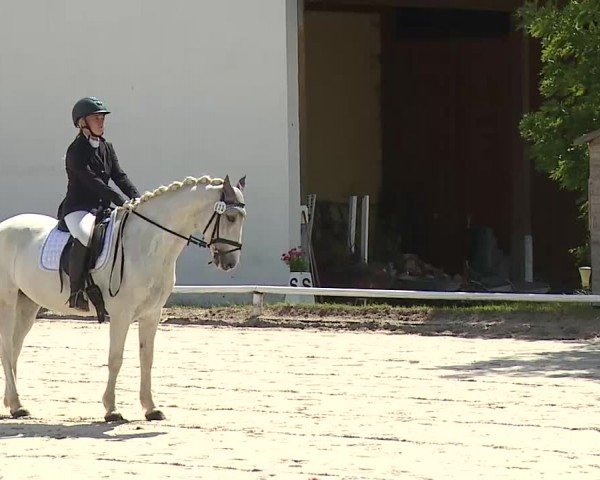 Reitturnier Hof-Haidt/Ofr. 2024