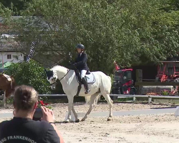 Reitturnier Hof-Haidt/Ofr. 2024