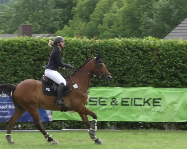 Reitturnier Moringen 2024