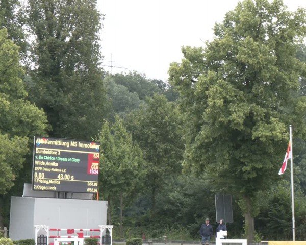 Reitturnier Münster-Roxel 2024