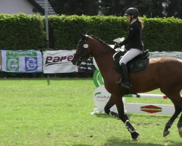Reitturnier Moringen 2024