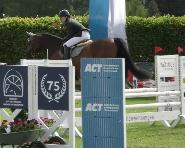 Reitturnier Moringen 2024