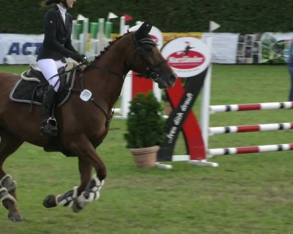 Reitturnier Moringen 2024
