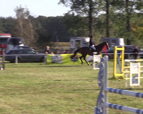 Reitturnier Großwoltersdorf 2021