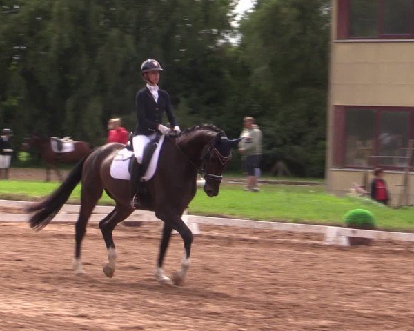Reitturnier Prussendorf 2024