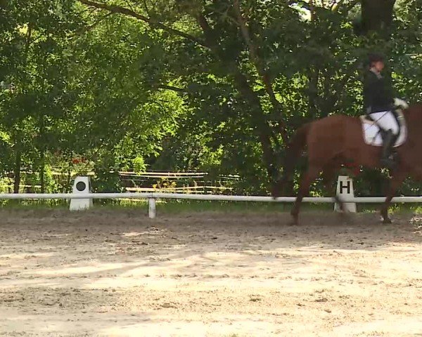 Reitturnier Hof-Haidt/Ofr. 2024
