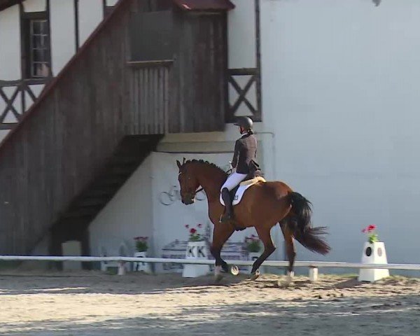 Reitturnier Hof-Haidt/Ofr. 2024