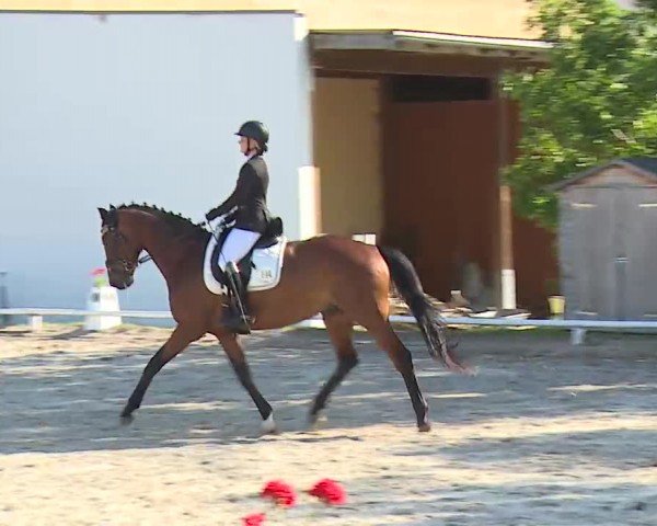 Reitturnier Hof-Haidt/Ofr. 2024