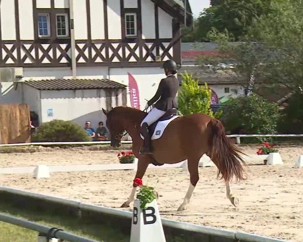 Reitturnier Hof-Haidt/Ofr. 2024