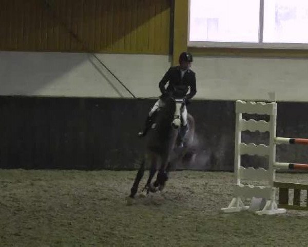 Late Entry Sauldorf-Boll 02.03.2013