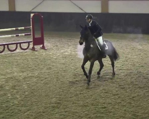 Late Entry Sauldorf-Boll 02.03.2013