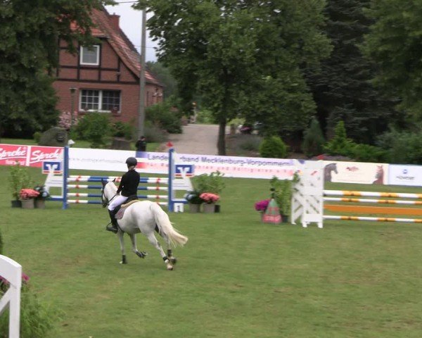 Reitturnier Neu Benthen 2024
