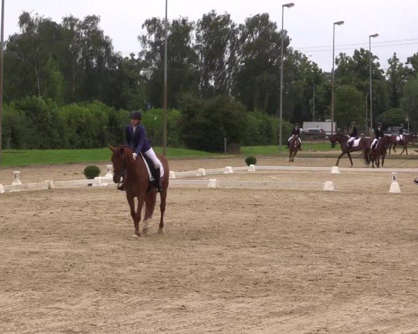 Reitturnier Münster-Roxel 2024