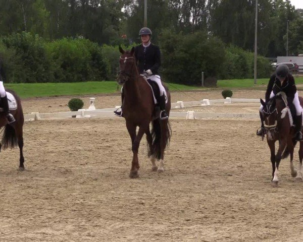 Reitturnier Münster-Roxel 2024