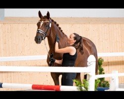 dressage horse Royal Ruby 6 (German Sport Horse, 2017, from Rubin Royal OLD)