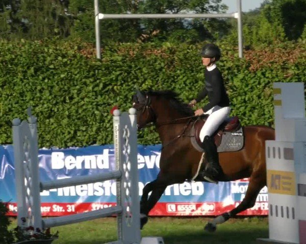 Reitturnier Moringen 2024