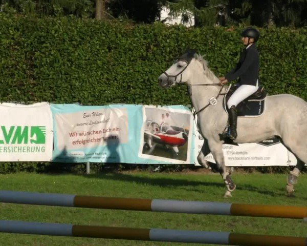 Reitturnier Moringen 2024