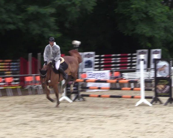 Reitturnier Grefrath - Reitanlage Heitzerend 2024