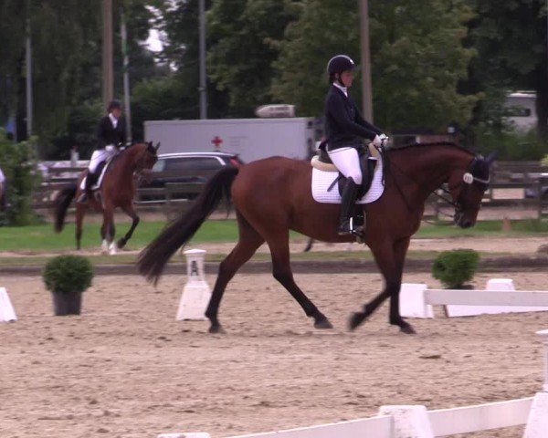 Reitturnier Münster-Roxel 2024
