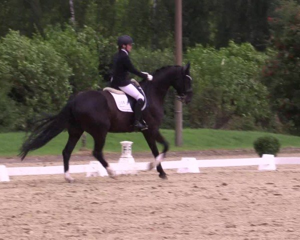 Reitturnier Münster-Roxel 2024