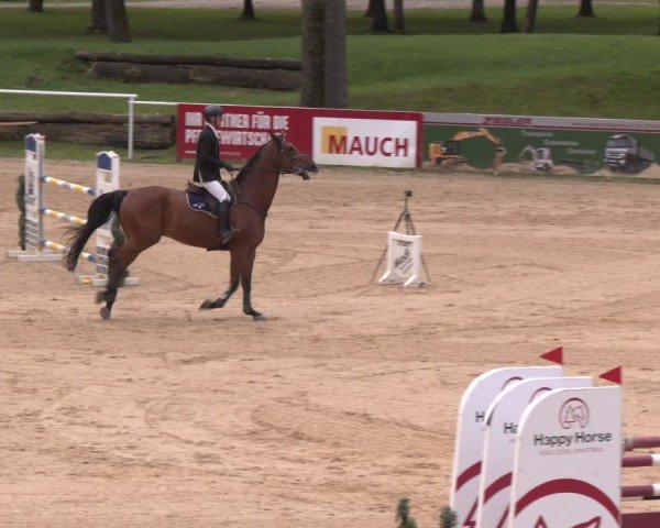 Reitturnier Stadl-Paura 2024