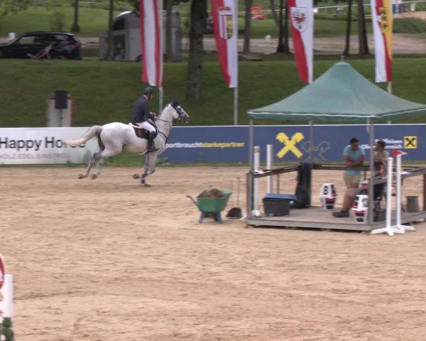 Reitturnier Stadl-Paura 2024