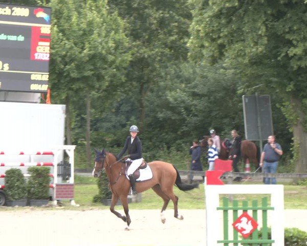 Reitturnier Münster-Roxel 2024