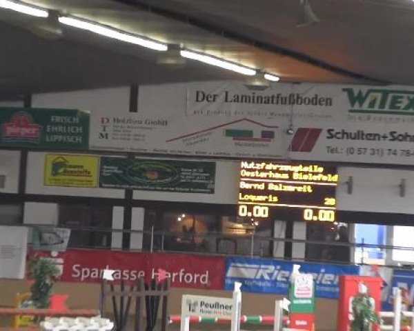 Vlotho-Exter Hallenturnier vom 23.-24. Februar und vom 01.-03. März 2013